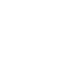 Alpaca